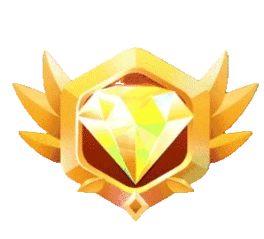 尊贵的永久会员