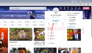 b站自动转正网页插件-远方云创